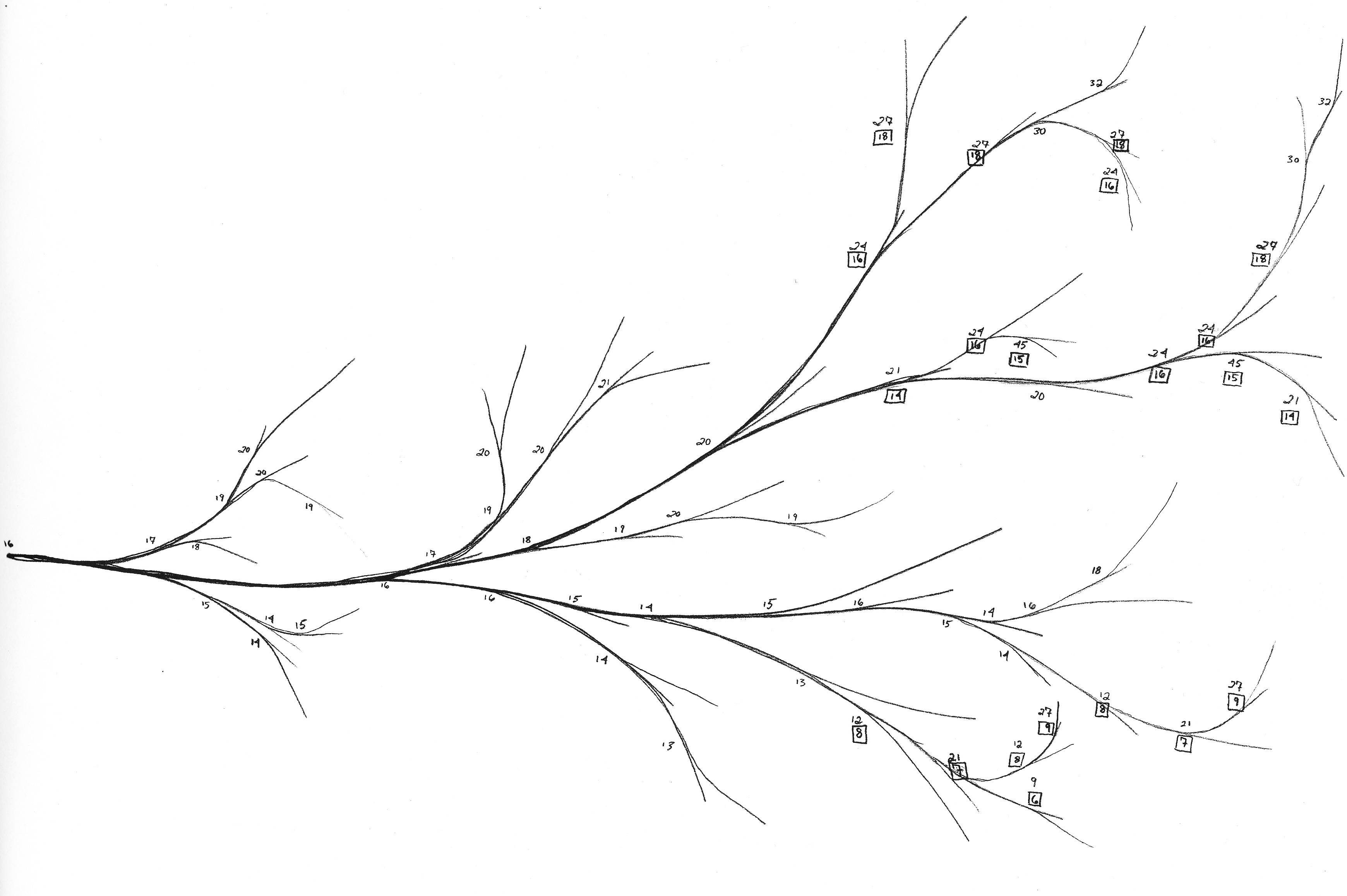 cat lamb: list of works: branches
