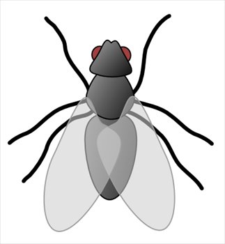 Free Flies Clipart - Free Clipart Graphics, Images and Photos ...