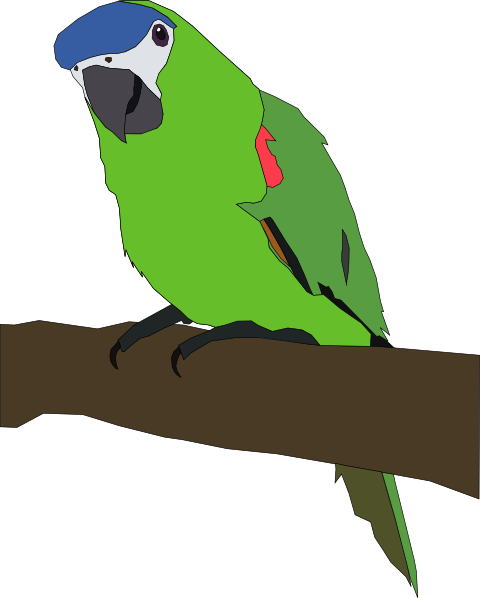 cartoon pictures of parrots