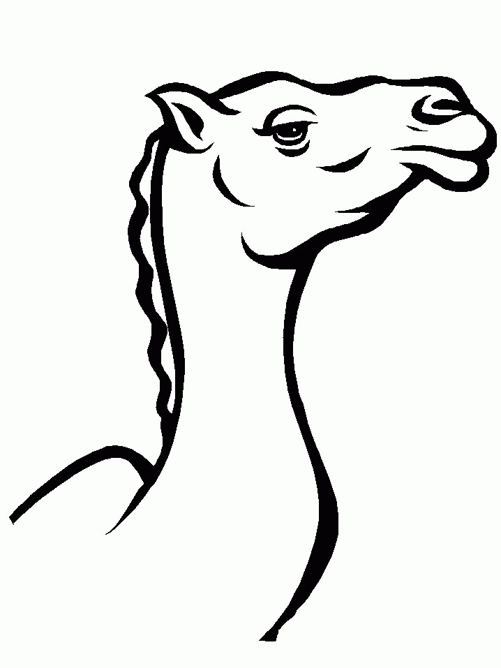 Coloring Page - Camel coloring pages 8