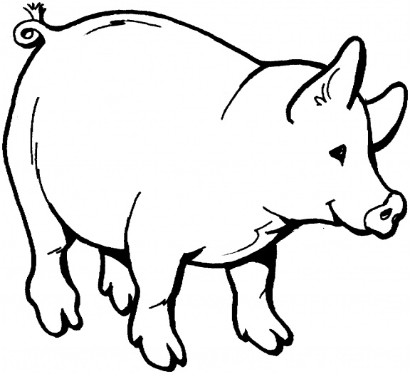 Pig Drawing Outline - Gallery