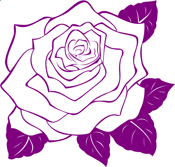 White Rose With Purple Outline clip art - vector clip art online ...
