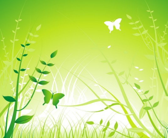 Free Vector Spring Flowers and Butterflies Illustration 03 » TitanUI