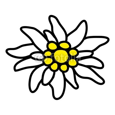 Edelweiß" Stock image and royalty-free vector files on Fotolia.com ...