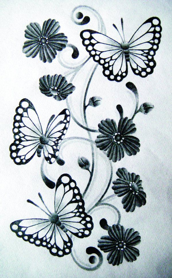 Fun - Painting Ideas on Pinterest | Butterfly Drawing, Flower ...