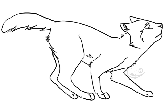 Cat Lineart by Gwij on DeviantArt