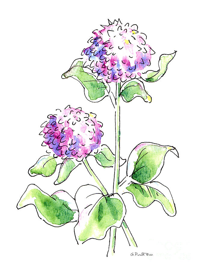 Mum Floral Drawings 1 by Gordon Punt