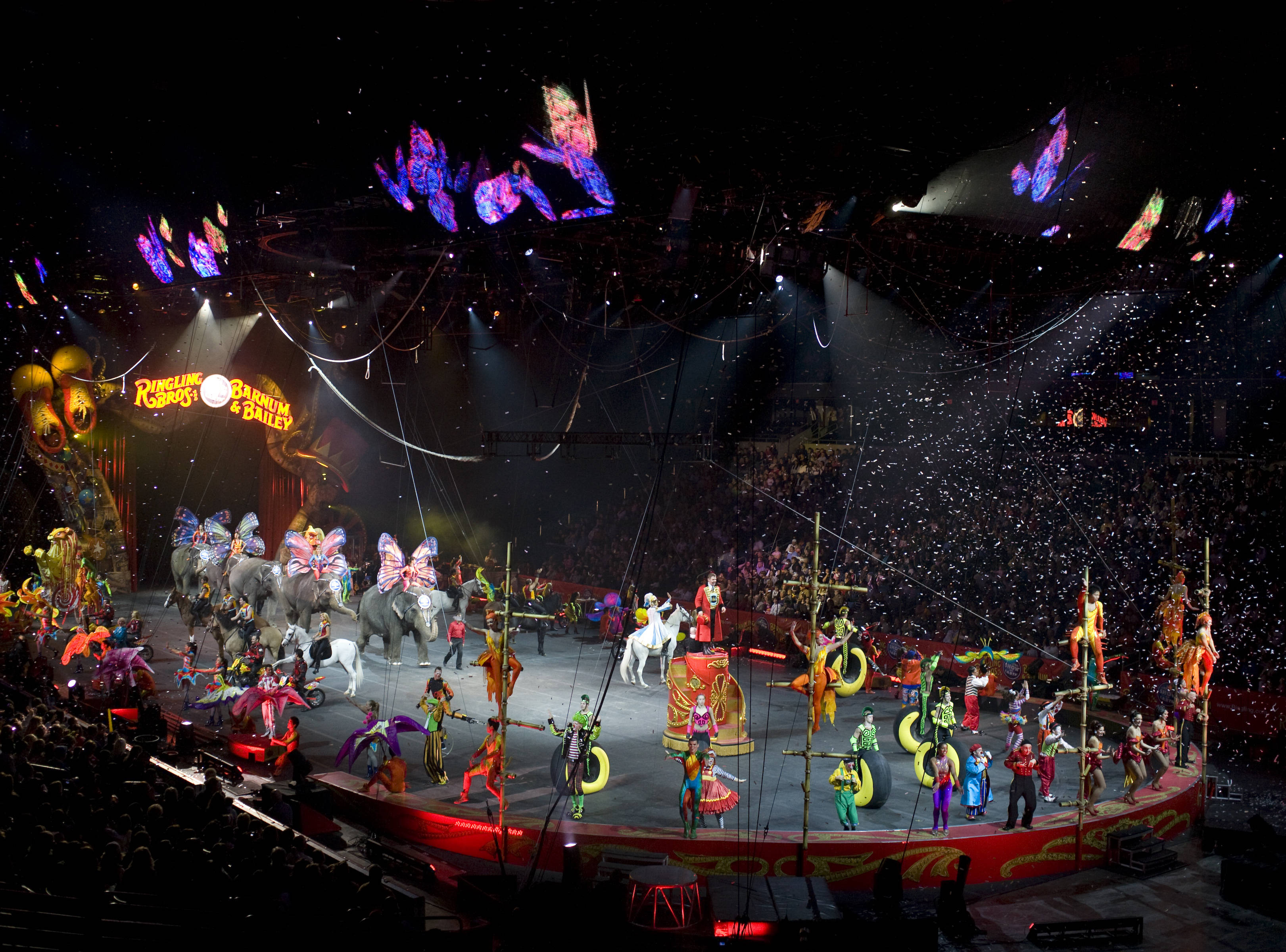 Virgo and the Circus | Emjayandthem's Blog