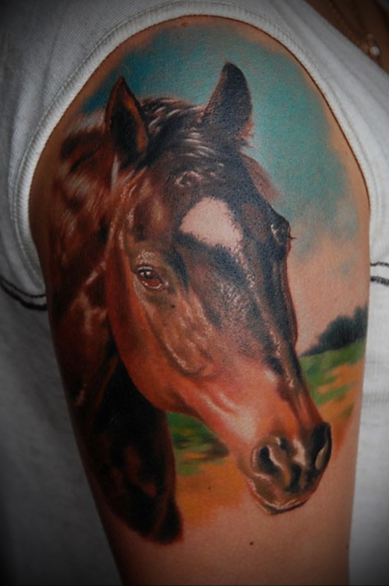 Wonderful horse head tattoo on half sleeve - Tattooimages.biz