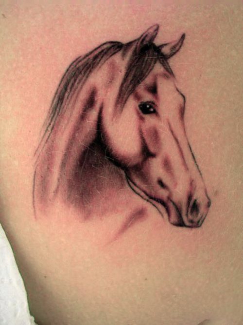 Horse tattoo Archives - God Of Tattoos