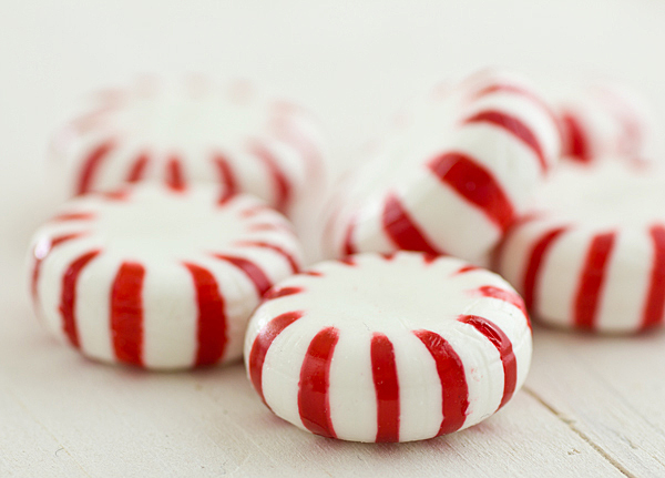 Chewy Chocolate Candy Cane Cookies Recipe