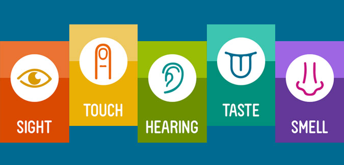 Exploring the Five Senses | Little Promises Academy Blog