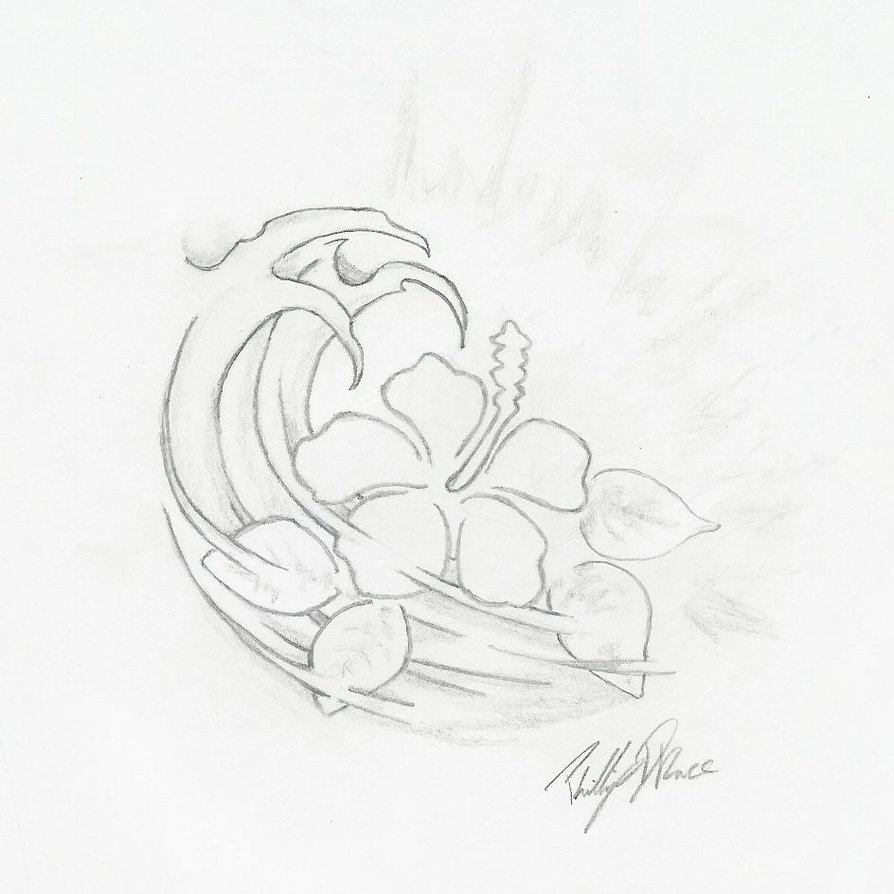 Sale Hawaiian Hibiscus Flower Drawings Best Price