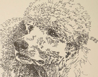 poodle drawing – Etsy