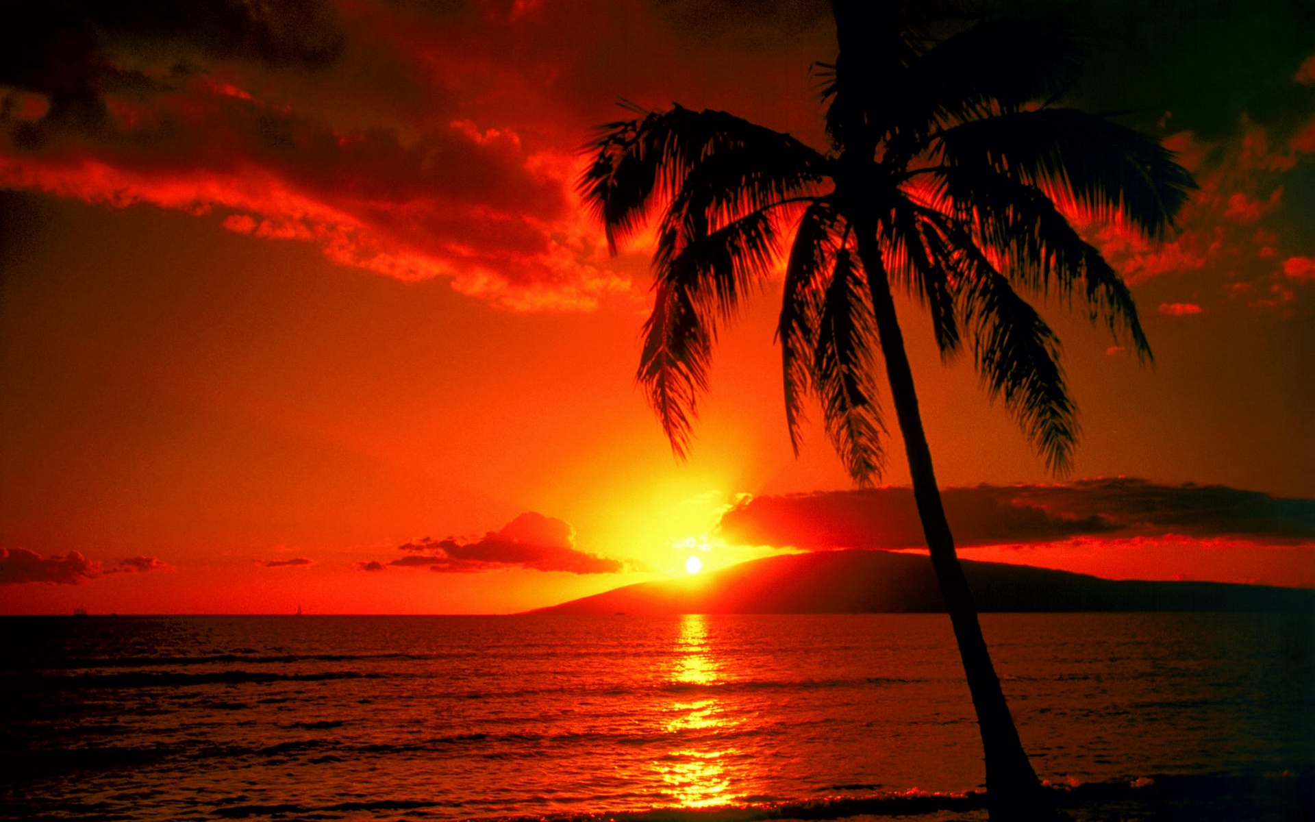 The meaning of the dream in which you saw «Sunset»