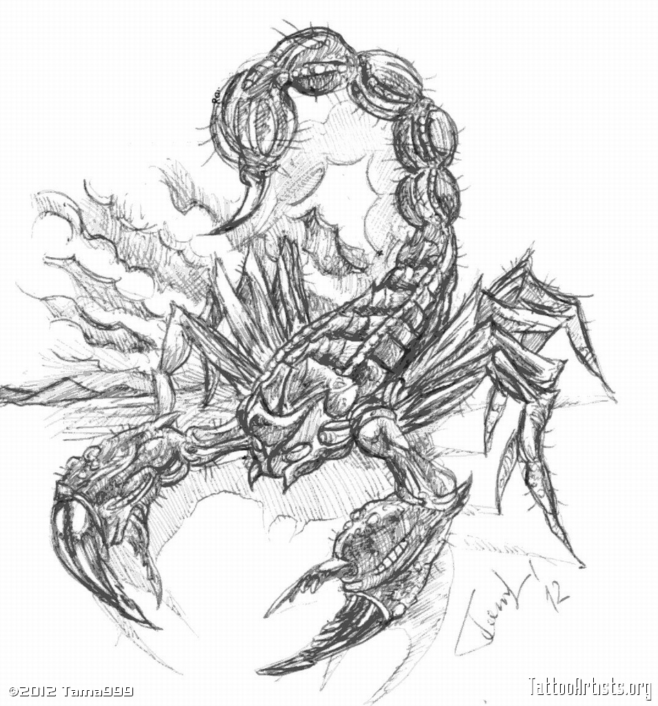 Scorpion drawing - Tattoo Artists.org