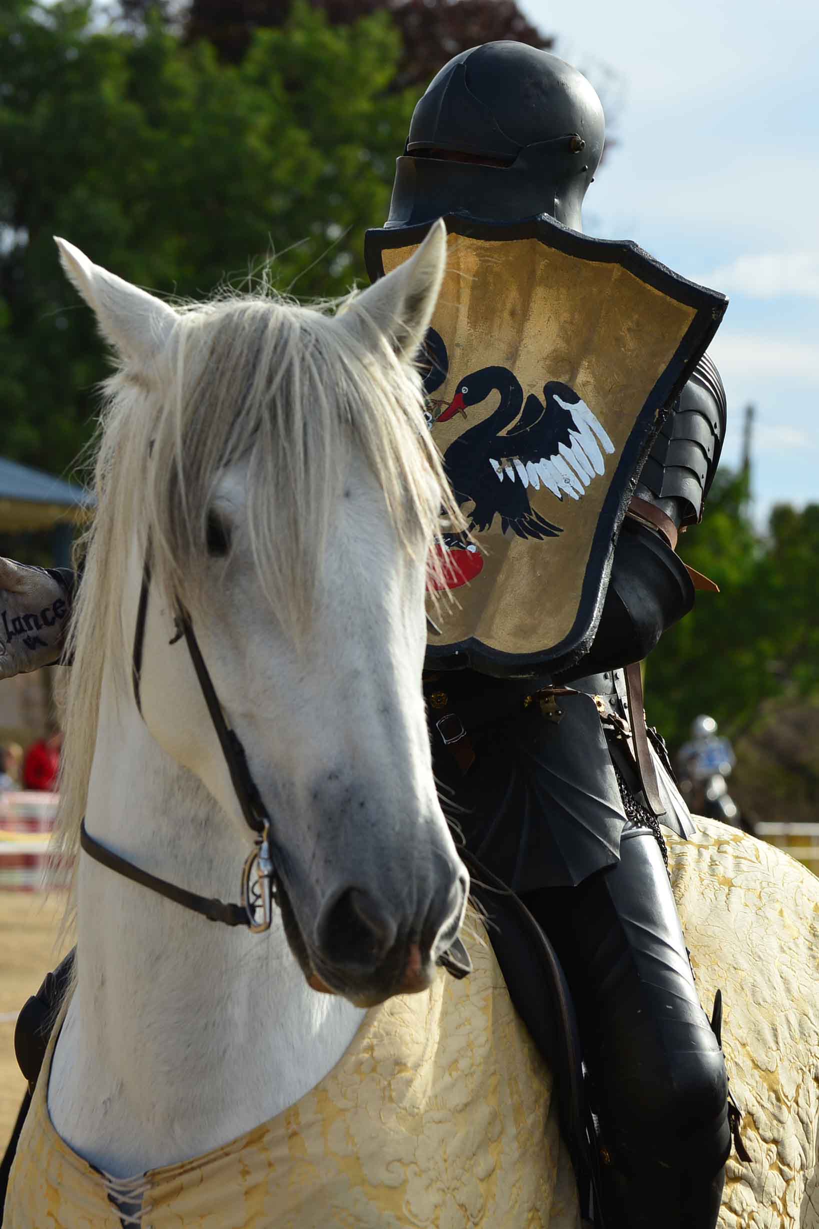 Black knight on white horse | Video Production