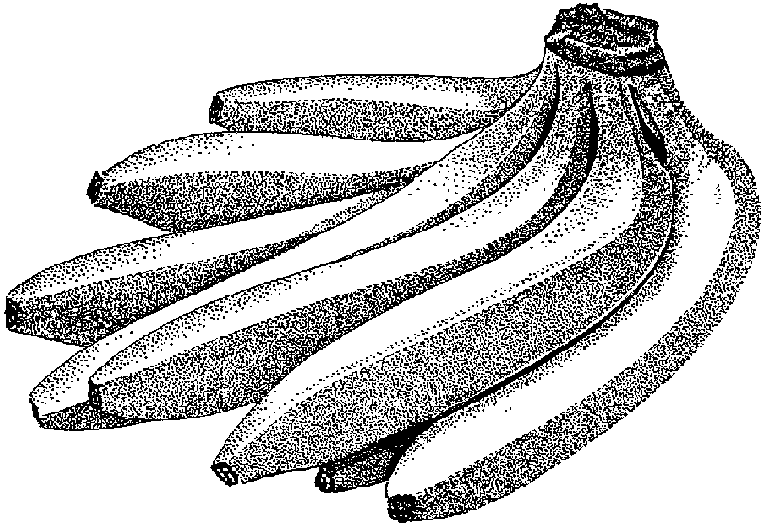 bananas.gif