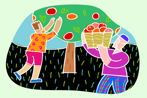 The Aldbourne Net | Diary Archived | Harvest Festival Auction