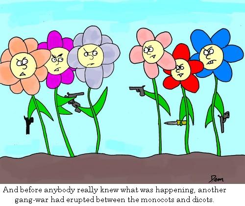 Cartoons by Dom | Australian Cartoonist's Weblog. Updated Regularly