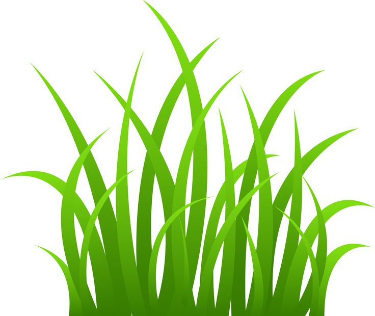 grass border clip art - Google Search | scrapbook flowers, trees ...