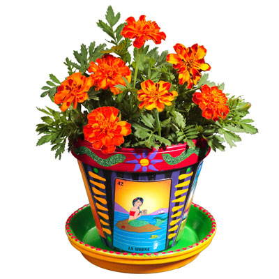 Crafty Chica Loteria Flower Pot | iLoveToCreate
