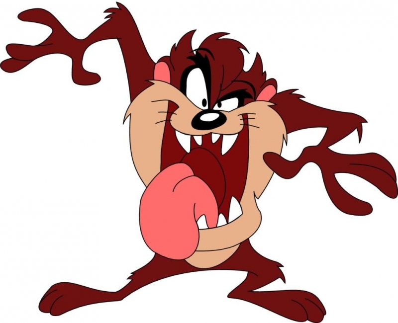 Brothers have had a cartoon character called taz for years