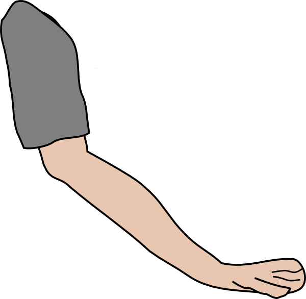 Arm clip art - vector clip art online, royalty free & public domain