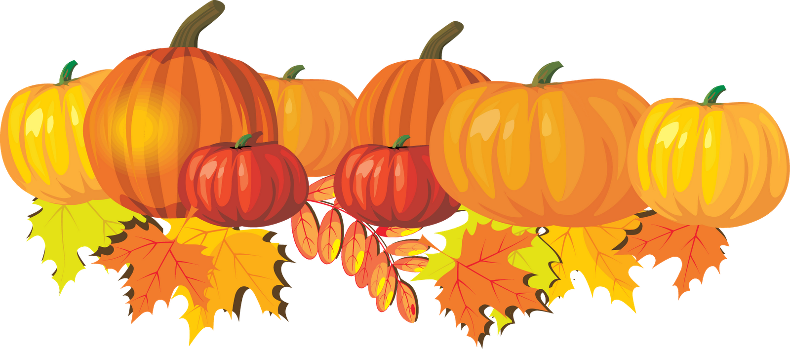 Aileen's Thoughts: The Busy Season...