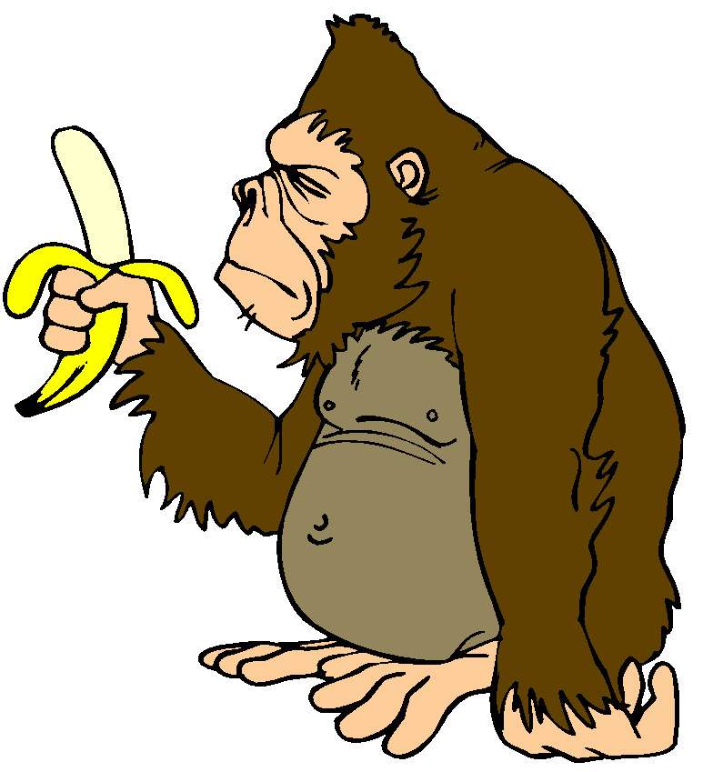 Chimp 20clipart