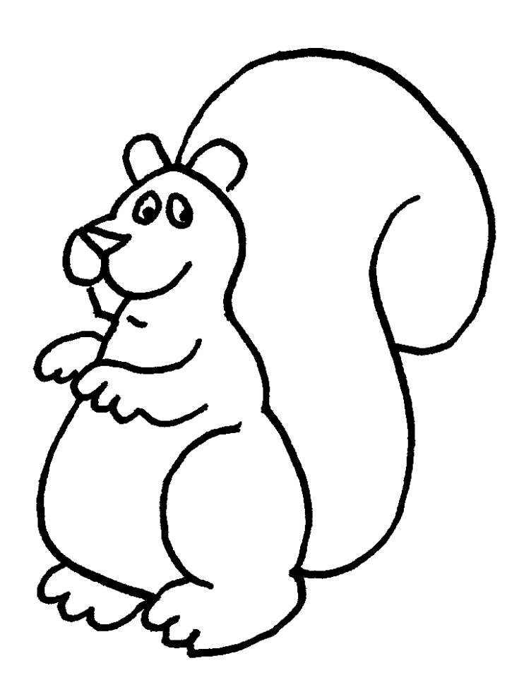 Squirrels Colouring Pages- PC Based Colouring Software, thousands ...