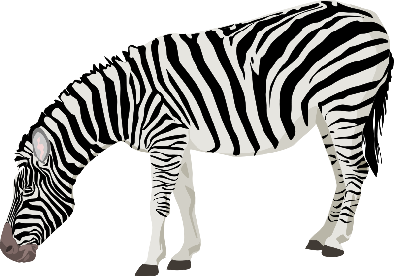 Ocean Animals Clipart Black And White | Clipart Panda - Free ...