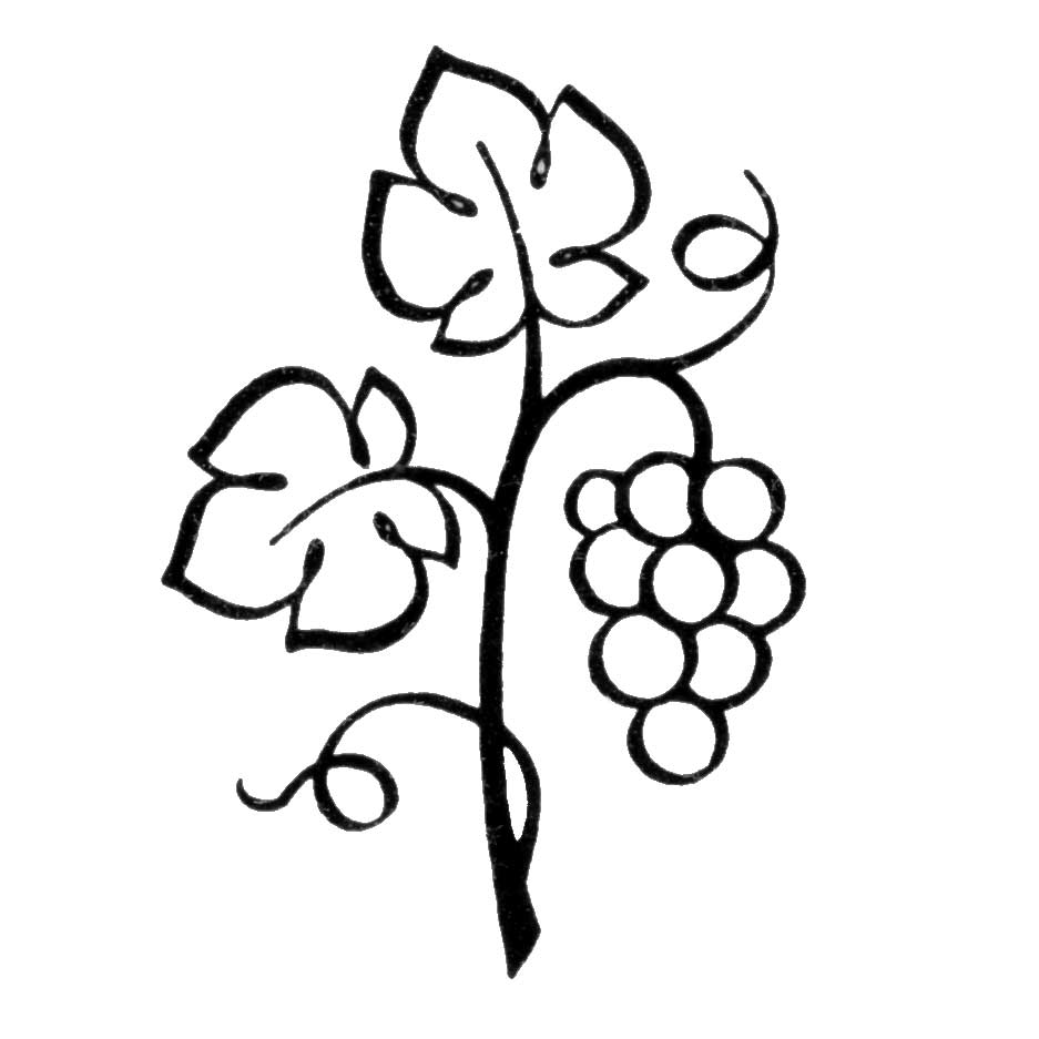 Grapes Clipart Black And White | Clipart Panda - Free Clipart Images