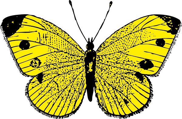Yellow Butterfly clip art Free Vector / 4Vector