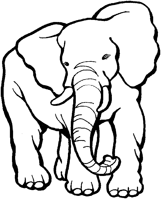 Download Elephant Coloring Pages Printable Animals Or Print ...