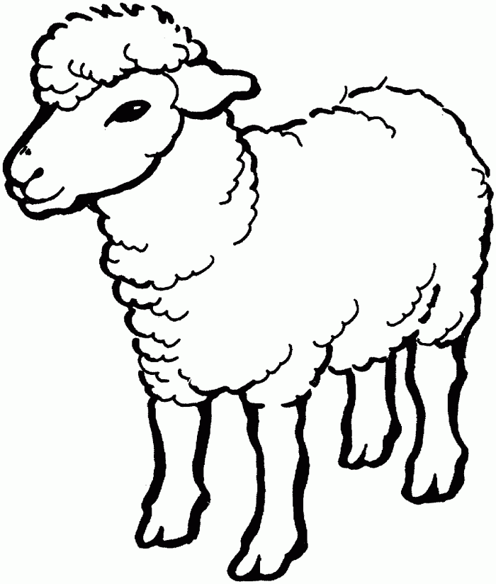 Sheep Coloring Page | 99coloring.com