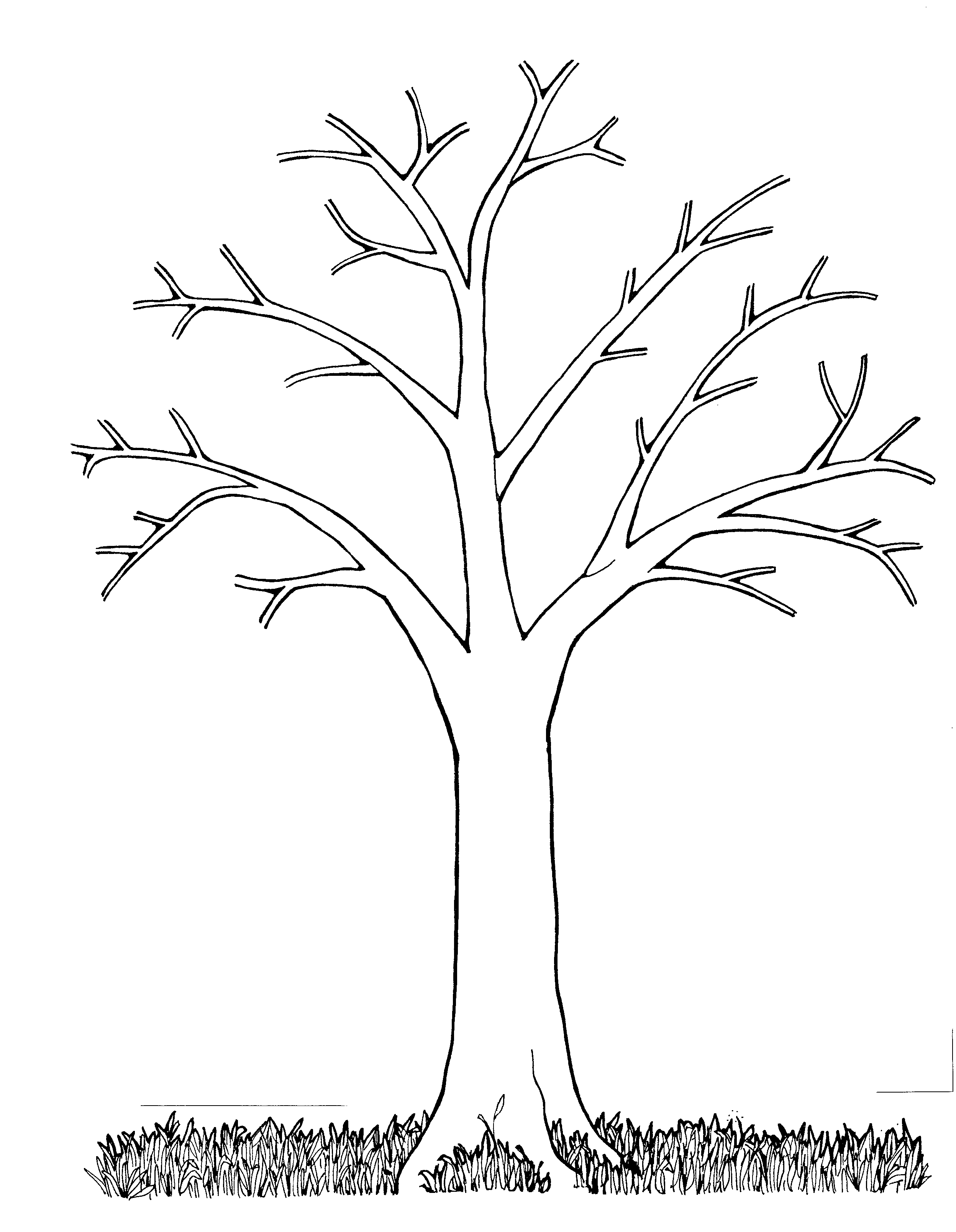 awesome Bare Tree Coloring Page : Free Coloring Pages - Free ...