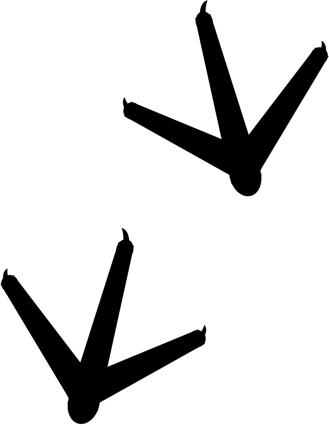 Dinosaur footprint clip art | Clipart Panda - Free Clipart Images