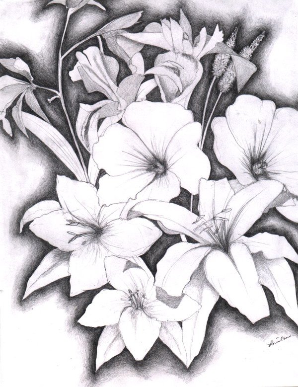 Beautiful Flowers Drawing - Gallery