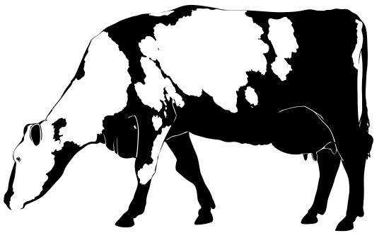 File:Cow silhouette 02.svg - Wikimedia Commons