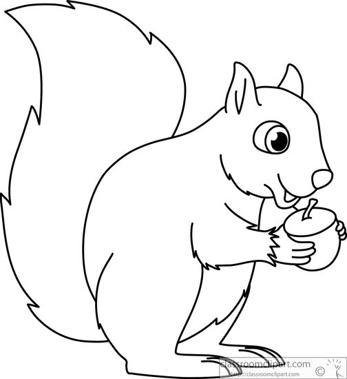 Animals : squirrel-holding-acorn-nut-black-white-outline-914 ...