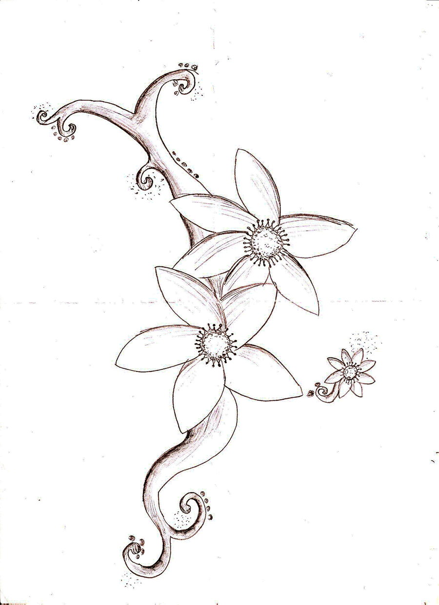Flower Drawings Related Keywords & Suggestions - Flower Drawings ...
