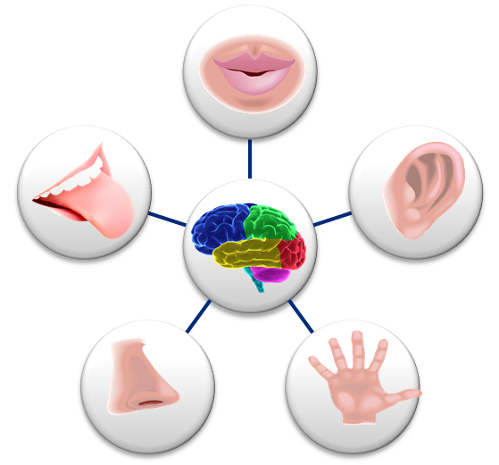 5 Senses | Good To Great