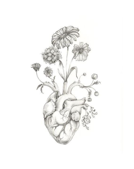 8x10" PRINT of original drawing "Blooming Heart"- graphite, art ...