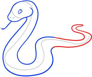 Easy Rattlesnake Drawing - Gallery