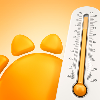 Stay Cool and Safe While Working in Hot Weather | SLAC Today