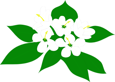Magnolia Flower Clip Art | Clipart Panda - Free Clipart Images