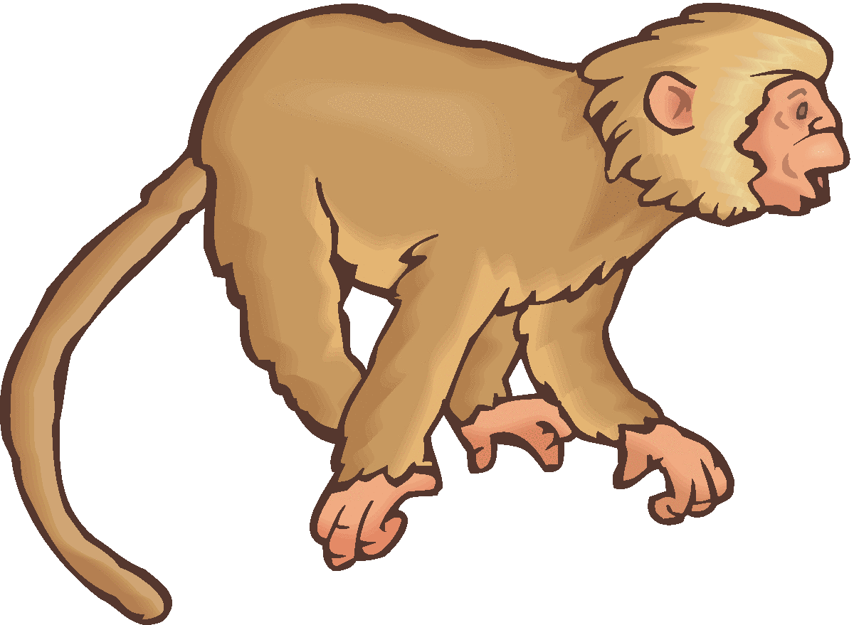 Images For > Monkey Clip Art Free Downloads