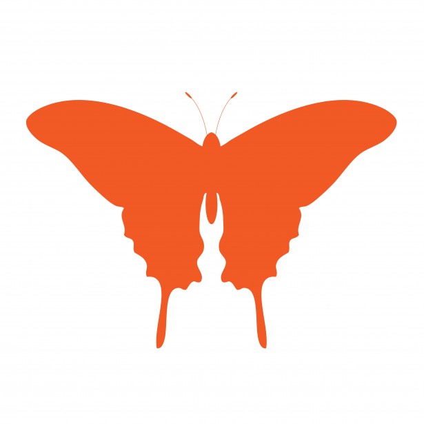 Orange Butterfly Clipart Free Stock Photo - Public Domain Pictures