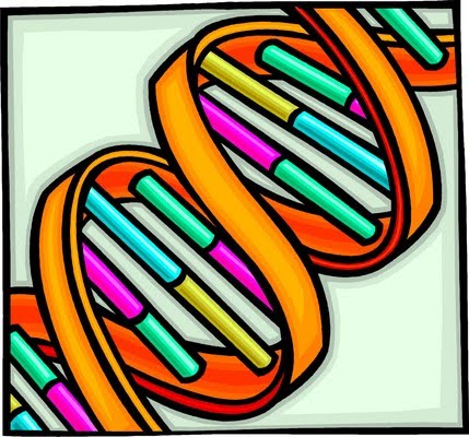 LewisSci | Sharing my love of Biology with my students!